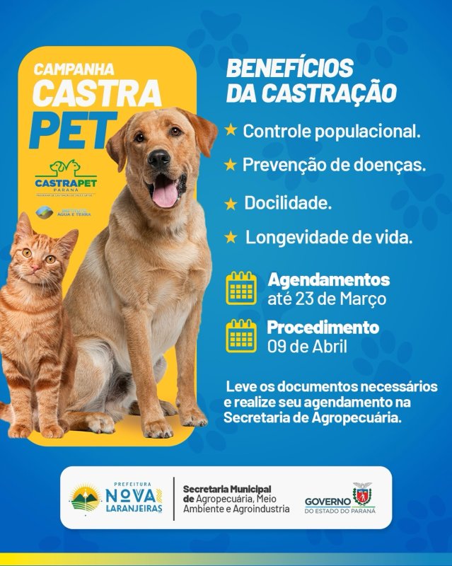 Agendamento para castração de cães e gatos está aberto em Nova Laranjeiras